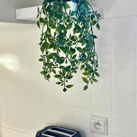 Vakantiehuis Maison Cosy Avec - Logis Flo - A 15 Min Du Futuroscope Beaumont (Vienne)